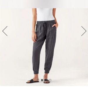 Splendid lakeside jogger